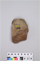 藏品(石錛)的圖片